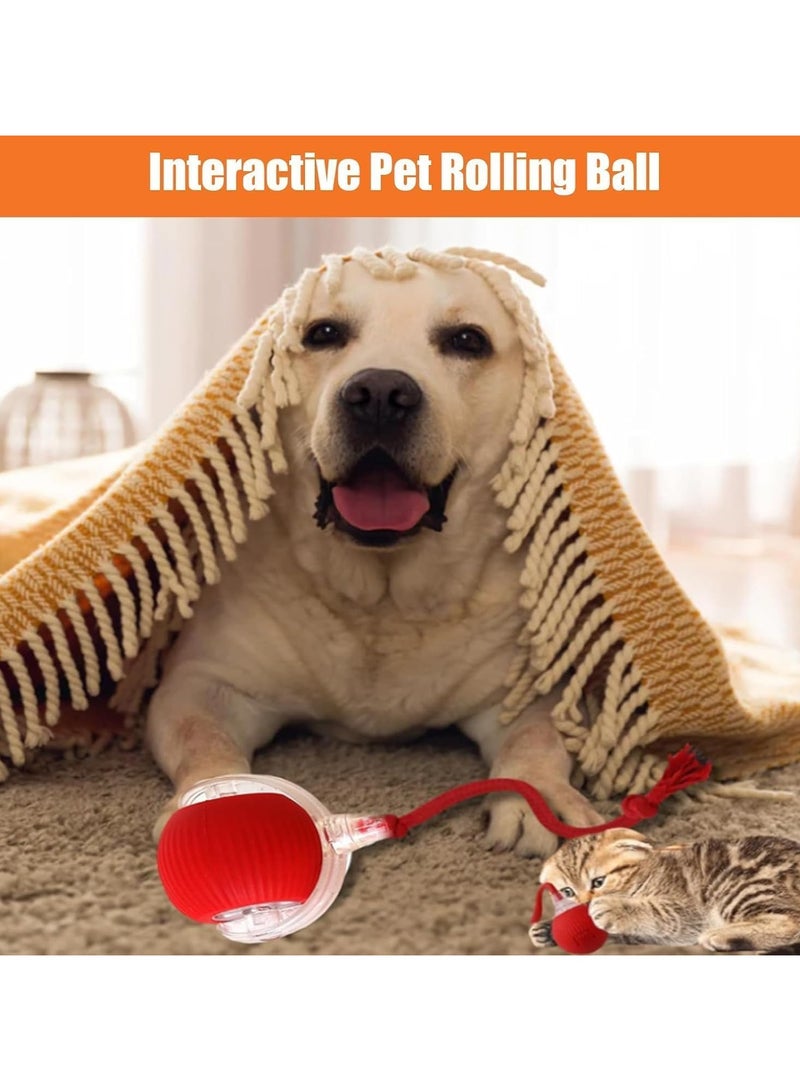 Chewie Ball - Chewie Viral Rolling Ball, Interactive Cat Ball Toy, Chewie Ball For Dogs, Smart Automatic Rolling Pet Ball, Automatic 360° Rotating Rolling Ball With Usb Charging (Red) - Image 3
