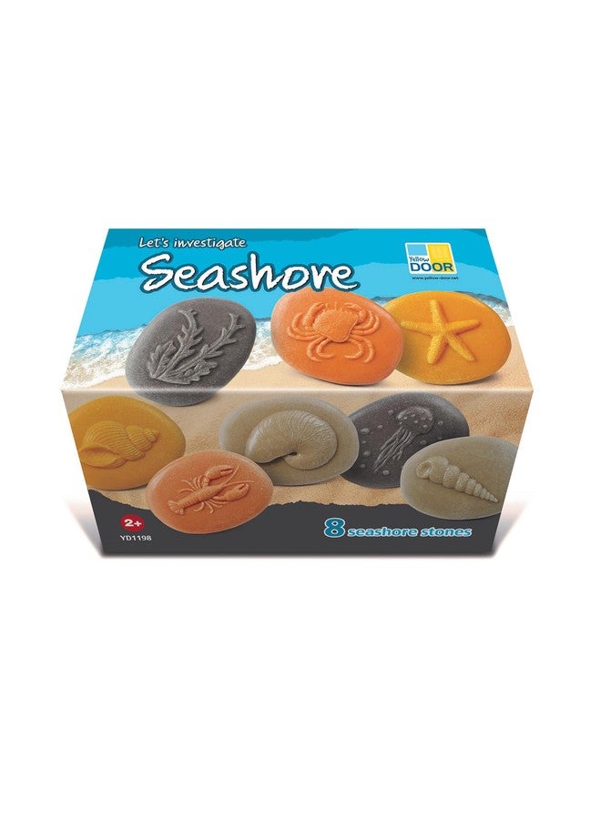 Yellow Door Let's Investigate - Seashore, Set of 8 Stone Figures - Image 2