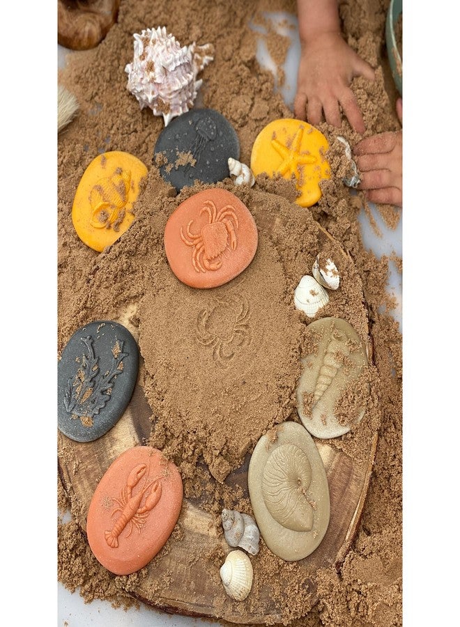 Yellow Door Let's Investigate - Seashore, Set of 8 Stone Figures - Image 5
