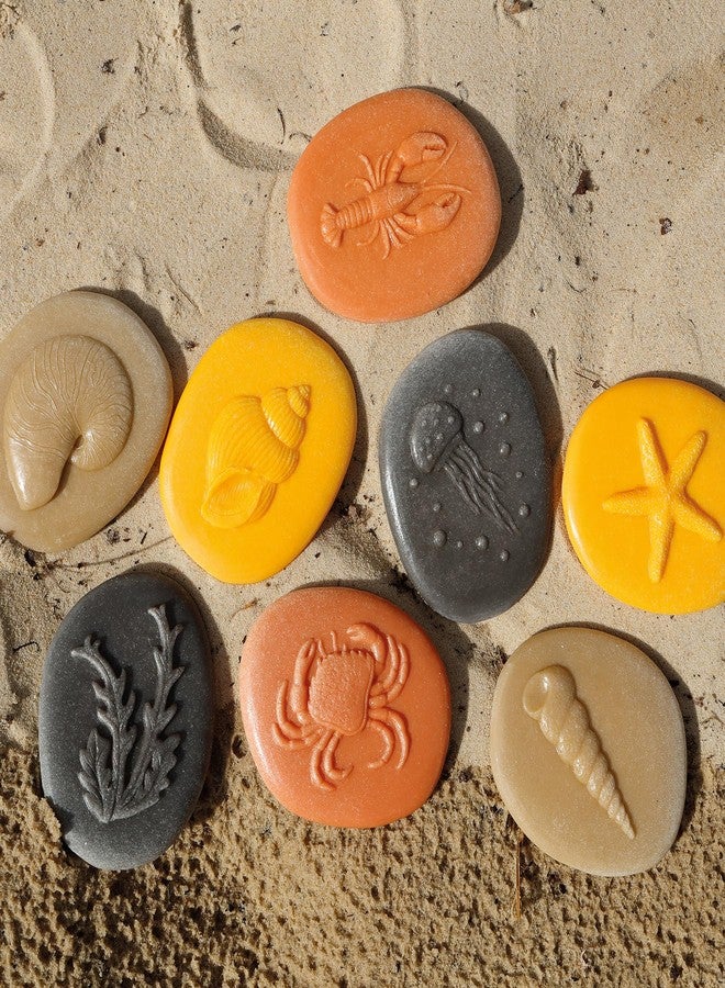 Yellow Door Let's Investigate - Seashore, Set of 8 Stone Figures - Image 4