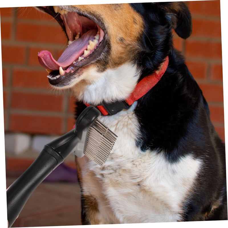 Blue Horse Grooming Brush For Shedding Curly Hair Pet Comb Puppy Cat - Image 5