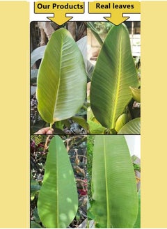 Kutis 1-Piece Artificial Bird of Paradise Plant Artificial Banana Tree Artificial Plant with Woven Basket 120 cm  - Image 3