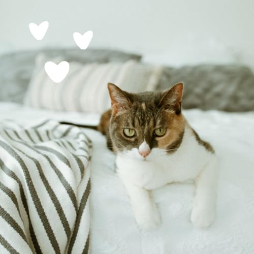 earthbath, All Natural Hypo-Allergenic Cat Grooming Foam - Fragrance Free Cat Shampoo for Allergies and Itching, Cruelty Free, No Water Needed, Rub On & Towel Off, Made in USA, Cat Supplies - 4 Oz - Image 5
