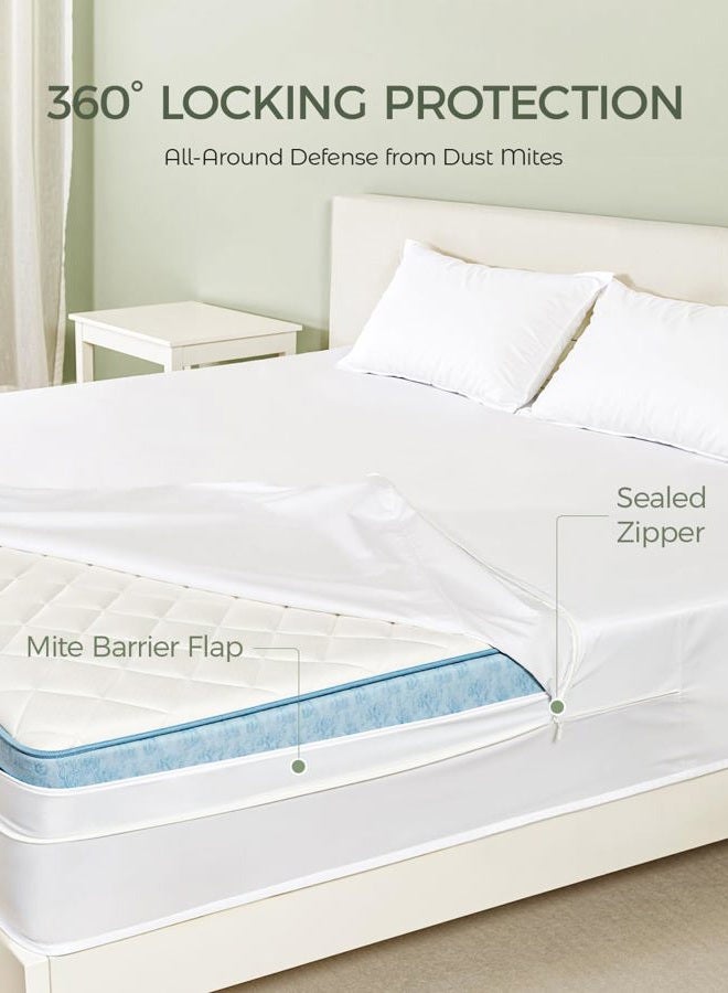 FAUNNA Zippered Mattress Encasement, 100% Cotton Bed Bug and Dust Mite Proof Mattress Protector, Hypoallergenic, Antibacterial Protection, Noiseless Zipper, Six-Sided Cover (Queen 16" Deep) - Image 3