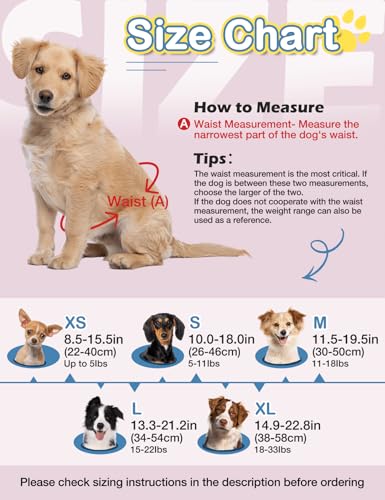 Dono Dog Diapers Female-40PCS, Disposable Pull Up Stretchy Waist Wraps for Female Puppy Dogs in Heat Period, Super Absorbent 360° Leak-Proof Doggie Puppy Diaper for Training Dog Incontinence - Image 4