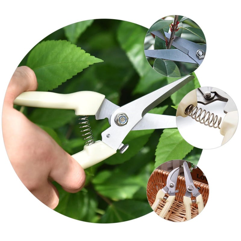 Ivory Stainless Steel Garden Pruning Shears One Hand Tree Branch Cutter - Image 5