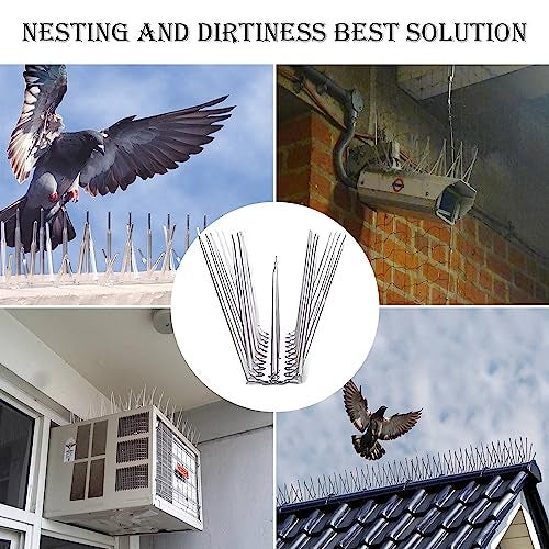 Ascension Birds Pigeon Spikes Ploycarbote Star Nets Pigeon Control No Gitti & Screws (Transparent) (Set of 5, 12x2x4.5inches) - Image 3