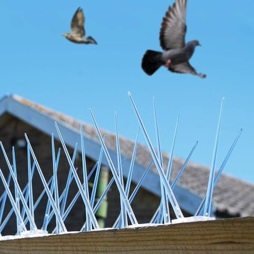 Ascension Birds Pigeon Spikes Ploycarbote Star Nets Pigeon Control No Gitti & Screws (Transparent) (Set of 5, 12x2x4.5inches) - Image 1