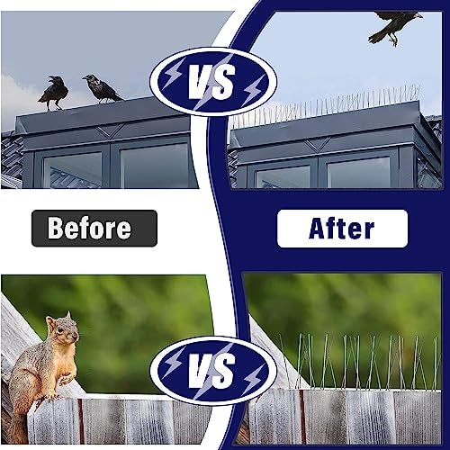 Ascension Birds Pigeon Spikes Ploycarbote Star Nets Pigeon Control No Gitti & Screws (Transparent) (Set of 5, 12x2x4.5inches) - Image 2