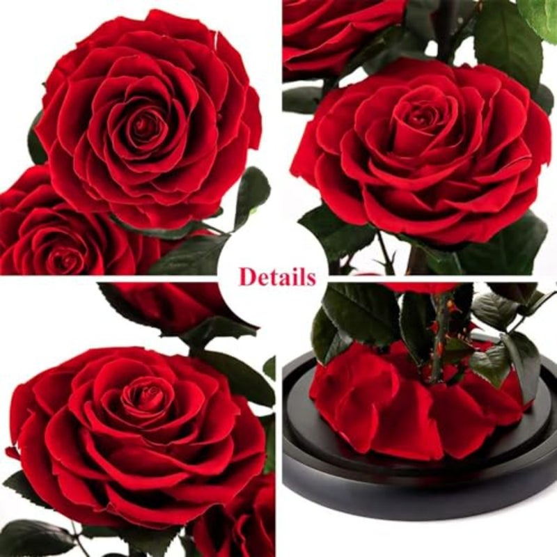 Large-size Forever Rose Preserved Flower, Real Eternal Rose in Glass Dome Preserved Flower with Luxury Box - Anniversary Gift for Girlfriend Wife Holiday Wedding Birthday - Image 3