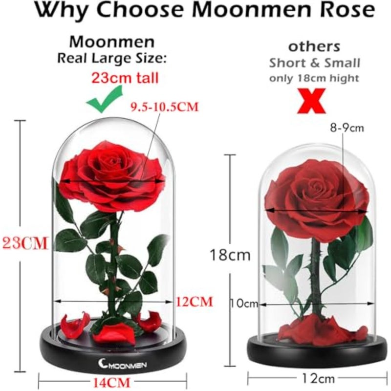 Large-size Forever Rose Preserved Flower, Real Eternal Rose in Glass Dome Preserved Flower with Luxury Box - Anniversary Gift for Girlfriend Wife Holiday Wedding Birthday - Image 2