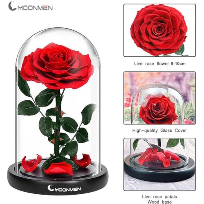 Large-size Forever Rose Preserved Flower, Real Eternal Rose in Glass Dome Preserved Flower with Luxury Box - Anniversary Gift for Girlfriend Wife Holiday Wedding Birthday - Image 4