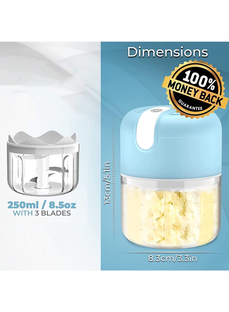 عربست مفرمة ثوم كهربائية، مفرمة ثوم 250 مل مع مضرب بيض، مفرمة خضراوات صغيرة محمولة، مطحنة ثوم، مفرمة بصل، معالج طعام صغير USB للخضراوات والثوم والزنجبيل والفلفل الحار - Image 3