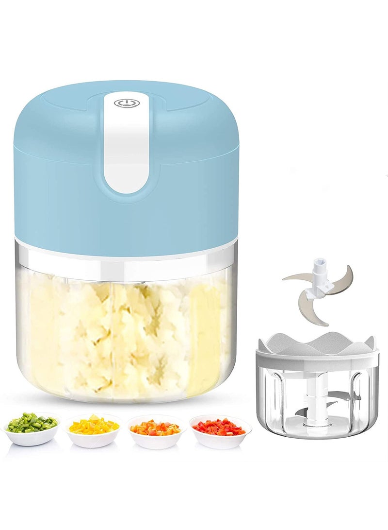 عربست مفرمة ثوم كهربائية، مفرمة ثوم 250 مل مع مضرب بيض، مفرمة خضراوات صغيرة محمولة، مطحنة ثوم، مفرمة بصل، معالج طعام صغير USB للخضراوات والثوم والزنجبيل والفلفل الحار - Image 1