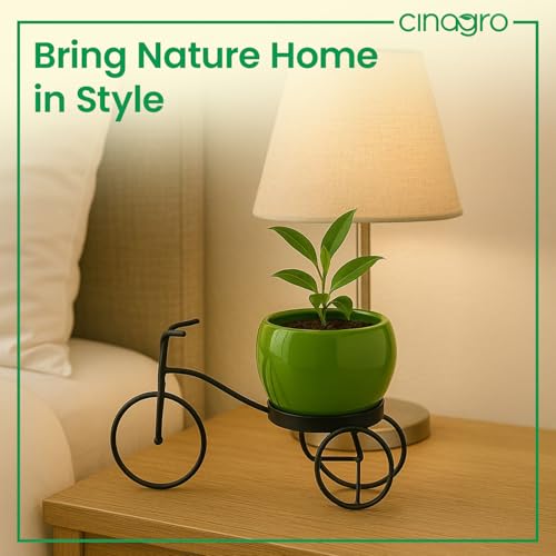 CINAGRO Cycle-Shaped Metal Plant Stand for Indoor & Outdoor Use, Metal Cycle Flower Vase, Decorative Iron Planter Pot Holder for Flowers & Ornaments (18 x 8 x 8cm) Style: Urban Pedal, Small - Image 5