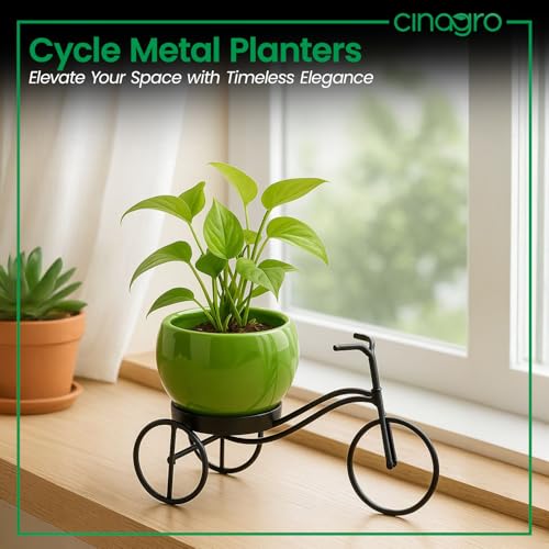 CINAGRO Cycle-Shaped Metal Plant Stand for Indoor & Outdoor Use, Metal Cycle Flower Vase, Decorative Iron Planter Pot Holder for Flowers & Ornaments (18 x 8 x 8cm) Style: Urban Pedal, Small - Image 2