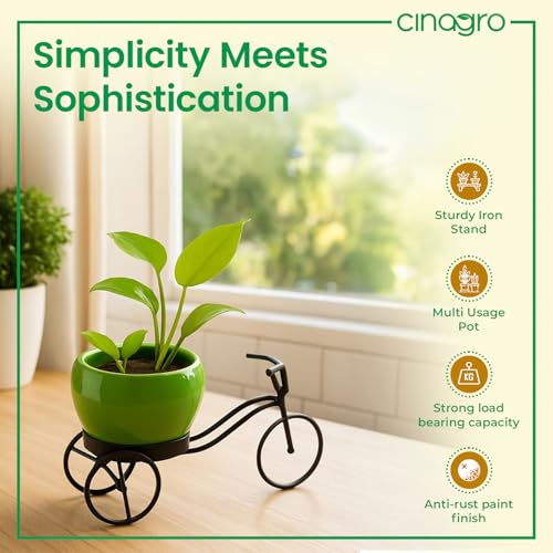 CINAGRO Cycle-Shaped Metal Plant Stand for Indoor & Outdoor Use, Metal Cycle Flower Vase, Decorative Iron Planter Pot Holder for Flowers & Ornaments (18 x 8 x 8cm) Style: Urban Pedal, Small - Image 3