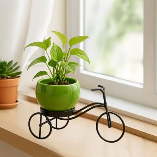 CINAGRO Cycle-Shaped Metal Plant Stand for Indoor & Outdoor Use, Metal Cycle Flower Vase, Decorative Iron Planter Pot Holder for Flowers & Ornaments (18 x 8 x 8cm) Style: Urban Pedal, Small - Image 1