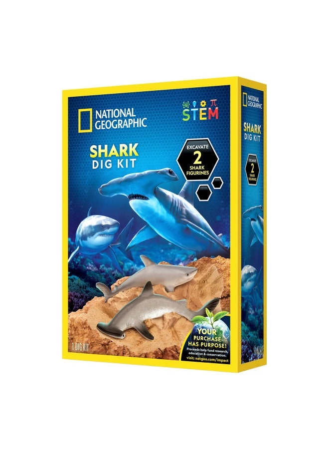 National Geographic Shark Dig Kit - Image 2
