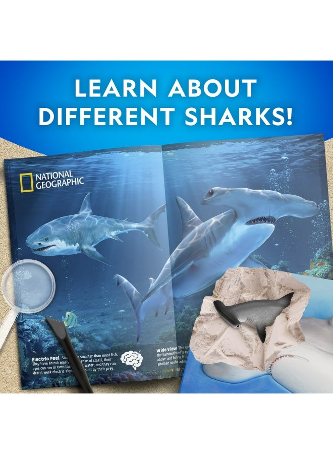 National Geographic Shark Dig Kit - Image 3