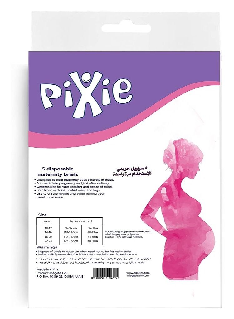 Pixie ملابس داخلية نسائية بيكسي للاستخدام مرة واحدة، 5 قطع (مقاس 10-12)، باللون الأبيض  - Image 2