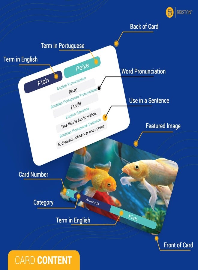 بريستون بطاقات تعليمية لمفردات اللغة البرتغالية - 75 كلمة للمبتدئين مع صور - اللهجة البرازيلية - كلمات للذاكرة والرؤية - لعبة تعليمية لتعلم اللغة - للأطفال، المدرسة الابتدائية، التعليم المنزلي - Image 2