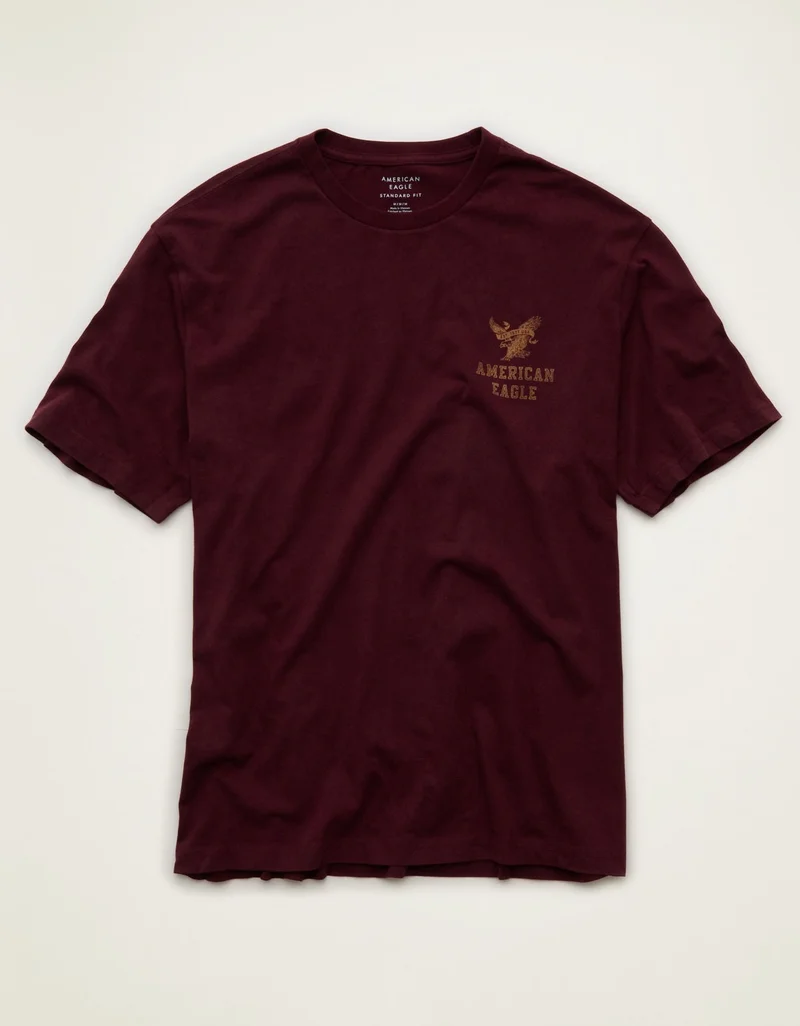 American Eagle AE Standard Fit Graphic Logo T-Shirt
