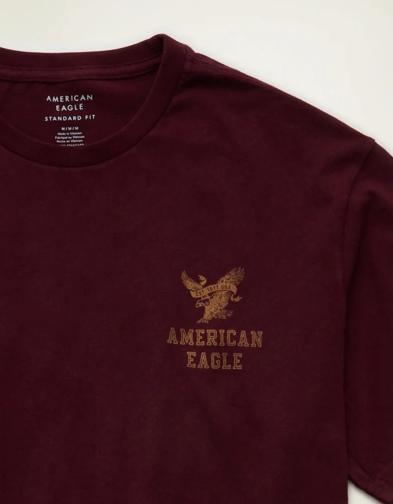American Eagle AE Standard Fit Graphic Logo T-Shirt