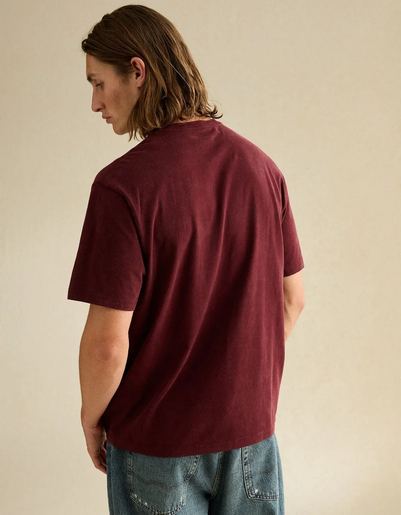 American Eagle AE Standard Fit Graphic Logo T-Shirt