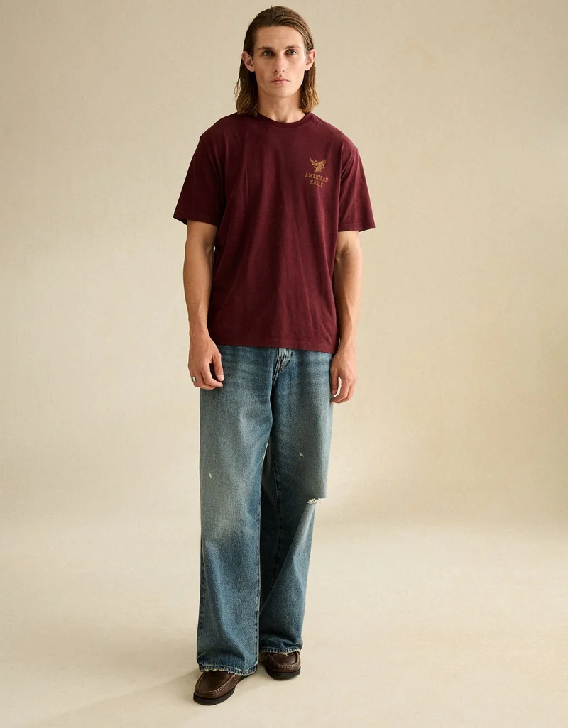 American Eagle  AE Standard Fit Graphic Logo T-Shirt for Men | Best Price UAE