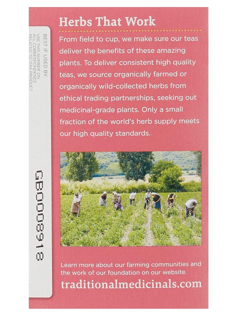 Tm Traditional Medicinal Pregnancy Tea, 16 Teabags - Image 3