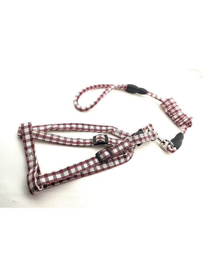 طقم حزام ومقود من القطن للجراء | حزام قابل للتعديل مع حبل للمقود للكلاب الصغيرة والمتوسطة الحجم - 15 مم (قد يختلف اللون) - Image 1