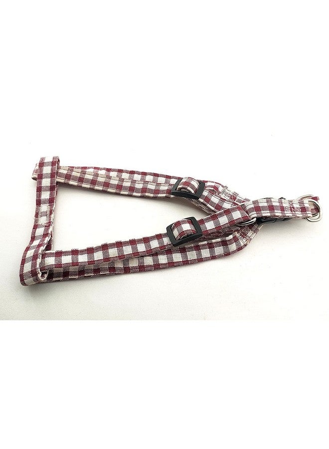 طقم حزام ومقود من القطن للجراء | حزام قابل للتعديل مع حبل للمقود للكلاب الصغيرة والمتوسطة الحجم - 15 مم (قد يختلف اللون) - Image 2