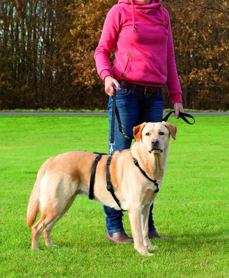 Trixie Stay Training Harness for Dogs S-M - Image 3