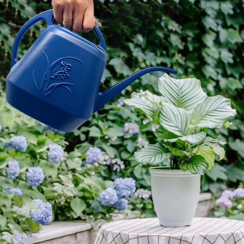 VKPLITE Plant Watering Can - Blue - 1/2 Gallon - Image 4