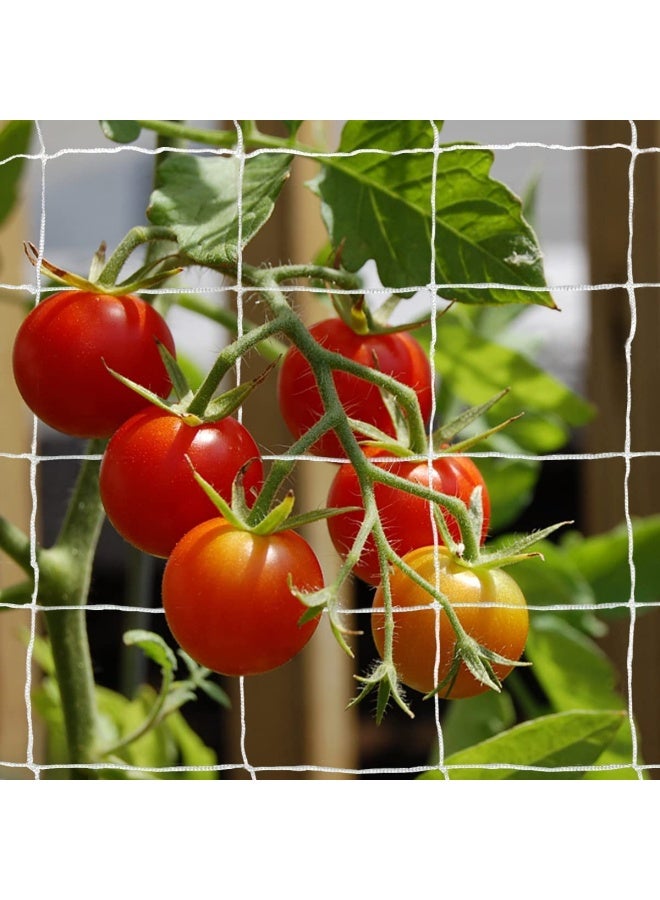 Tcamp Heavy-Duty Polyester Plant Trellis Netting 5 x 15ft (1 Pack) (5 Ft X 15 Ft) - Image 2
