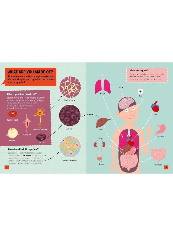 The Curious Kid's Guide To The Human Body: WHAT KEEPS YOUR BRILLIANT BODY WORKING?: STEM - Image 2