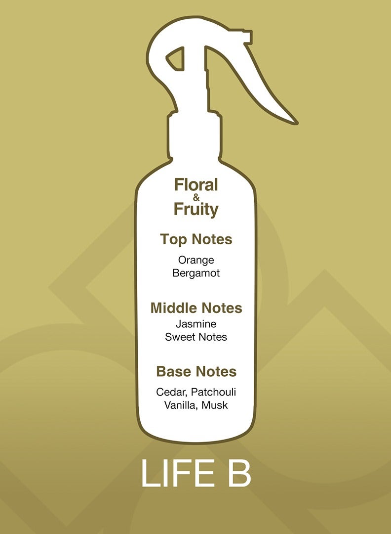 Essancy Aroma Mist Life B Premium Air Freshener Clear 300ml - Image 2