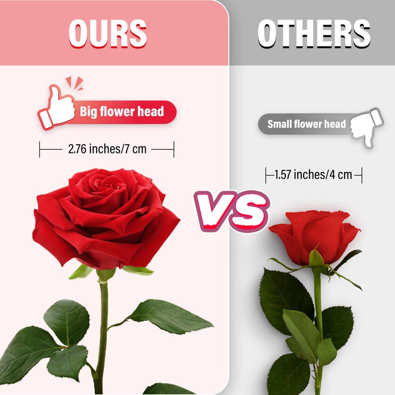 Pyopbow 20PCS Artificial Roses with Long Stems - Realistic Silk Flowers, Fake Roses Real Touch Bouquet of Roses for Valentine's Day, Home Decor, Bridal Wedding Party, Bulk Faux Rose Flowers (White Red) - Image 2