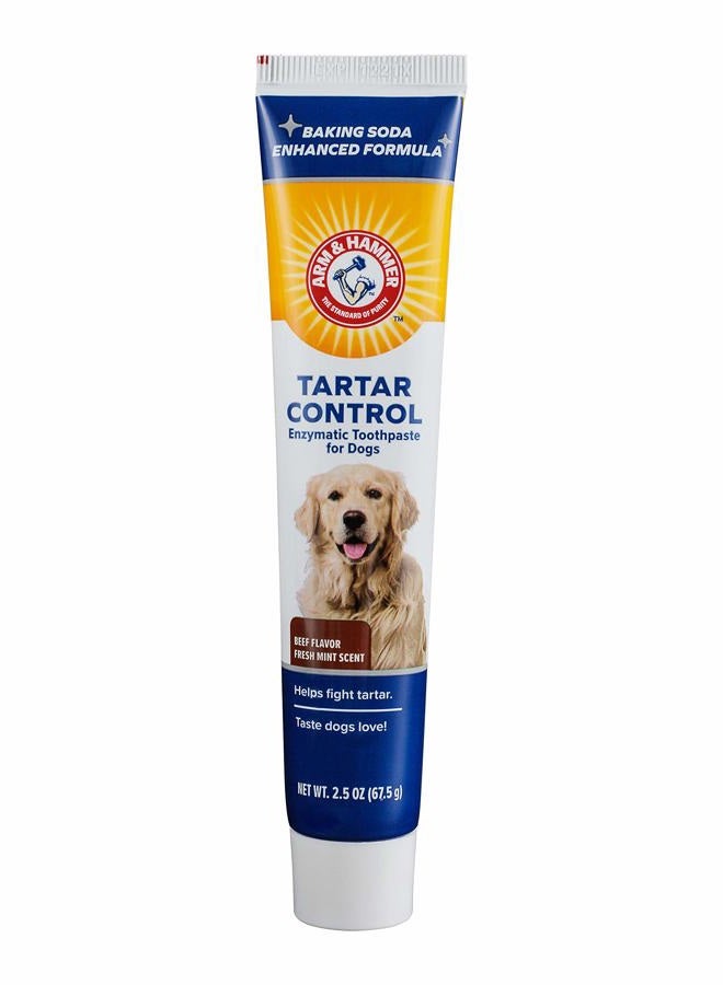 Arm & Hammer for Pets Tartar Control Enzymatic Toothpaste for Dogs Reduces Plaque & Tartar Buildup Safe for Puppies Beef Flavor, 2.5 Ounces Dog Toothpaste (Pack of 1) - Image 1