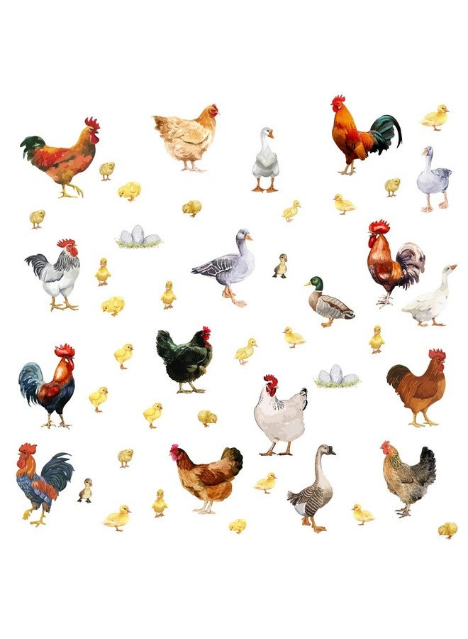 PLIGREAT Farm Poultry Rooster Chickens Duck Wall Stickers Peel And Stick Wall Decals Removable Vinyl Wall Sticker For Farmhouse Living Room Farm Store Wall Decoration Home Indoor Wall Art Decor - Image 1