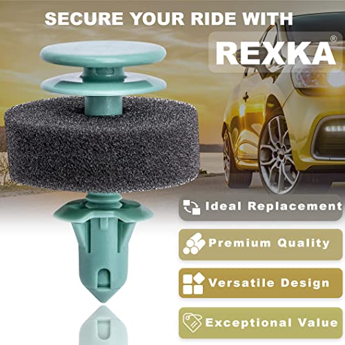 Rexka مشابك تثبيت لوحة باب ريكسا 15 قطعة 25707329 لجنرال موتورز بويك ليسابري لوسيرن أولدزموبيل أورورا - Image 4