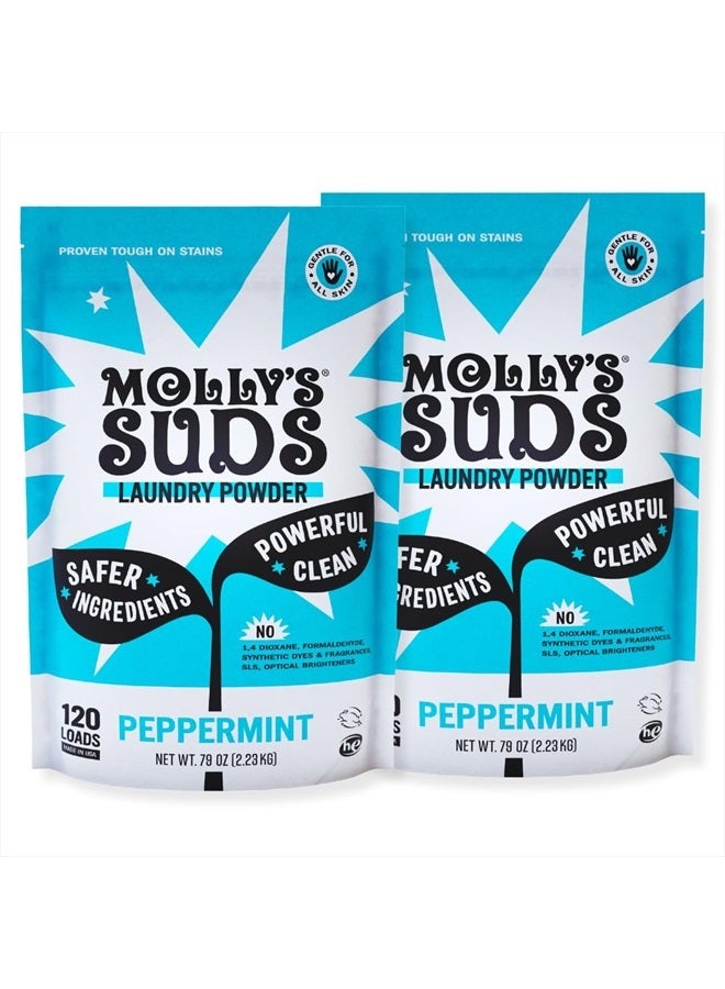 MOLLY'S SUDS Original Laundry Detergent Powder | Natural Laundry Detergent Powder for Sensitive Skin | Earth-Derived Ingredients, Stain Fighting | 240 Load (Peppermint)  - Image 1