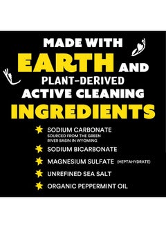 Original Laundry Detergent Powder | Natural Laundry Detergent Powder for Sensitive Skin | Earth-Derived Ingredients, Stain Fighting | 240 Load (Peppermint) - pzsku/ZB12A9B8F9EBA2CB2FF34Z/45/_/1715458727/150fc8c5-2dcf-4981-b76a-1126c74a83dc