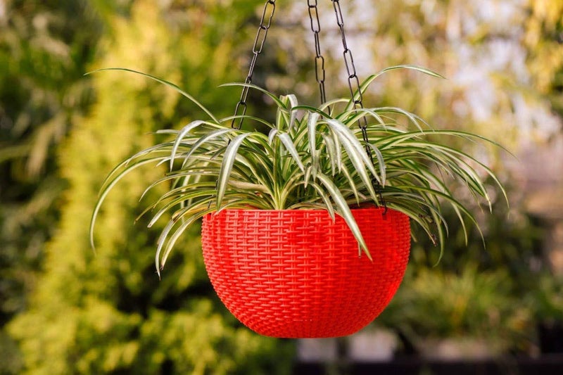 Go Hooked Round Rattan Woven Plastic Hanging Pots, Hanging Planters for Plants, Multicolor Hanging Pots for Garden, Balcony, Patio (Pack of 7) (7.1" in Diameter) - Image 4