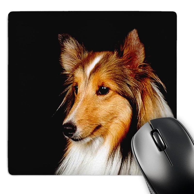 3dRose LLC 8 x 8 x 0.25 Inches Mouse Pad, Sheltie Shetland Sheepdog (mp_638_1) - Image 1