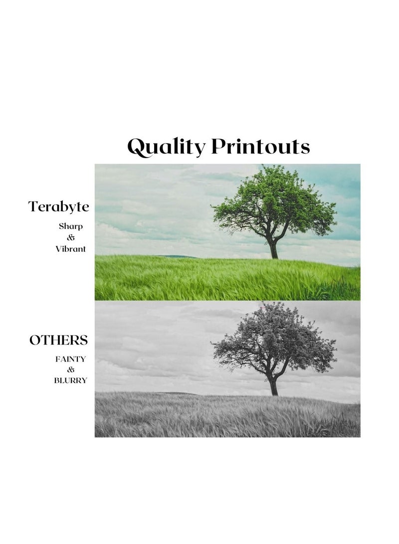 Terabyte TONER CARTRIDGE TN2305/TN2320/TN2310/TN235 BLACK - Image 4