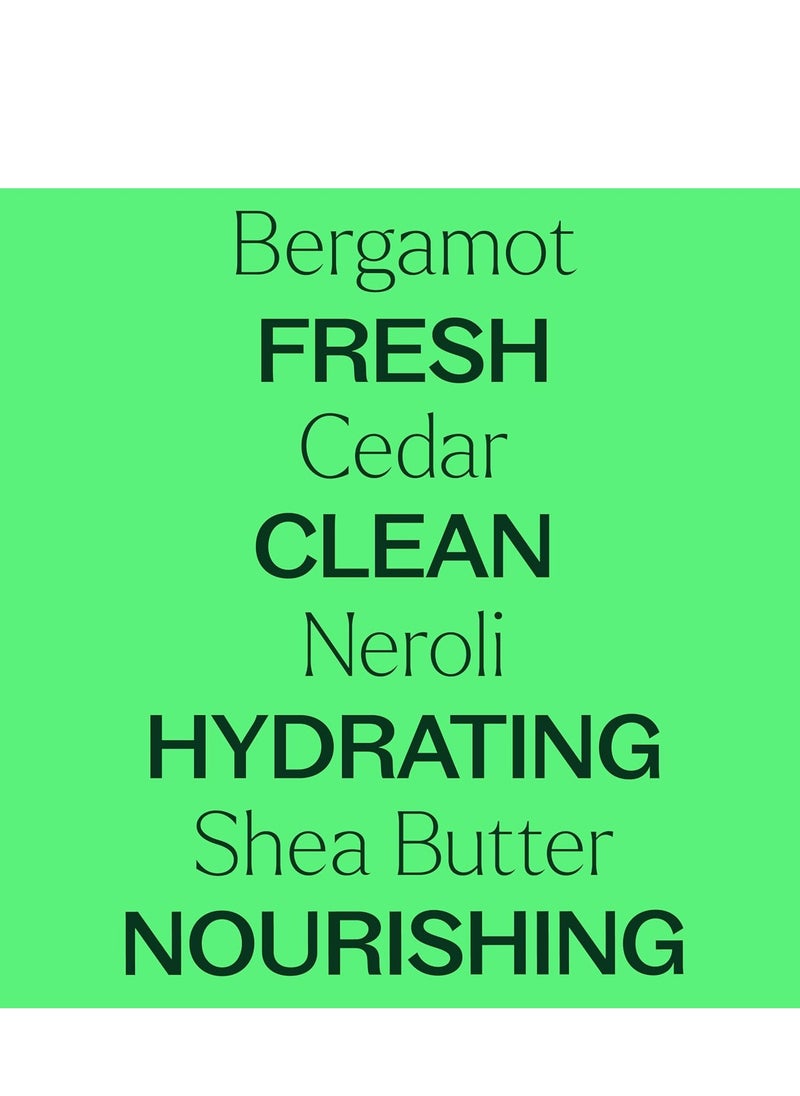 Plant Therapy Plant Therapy Bergamot Cedar Body Cream 8 oz Restore Softness & Hydration, Vitamins and Antioxidants to Soften, Smooth, and Firm Skin  - Image 3
