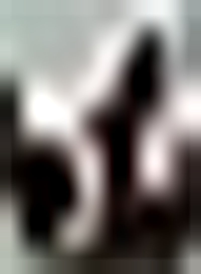 GGOOT 200Stücke Rote Rose Samen Helle Familie Heirloom Blumensamen Garten Terrasse Terrasse Pflanzen Gärtner Wie Schnittblumensträuße - Image 1