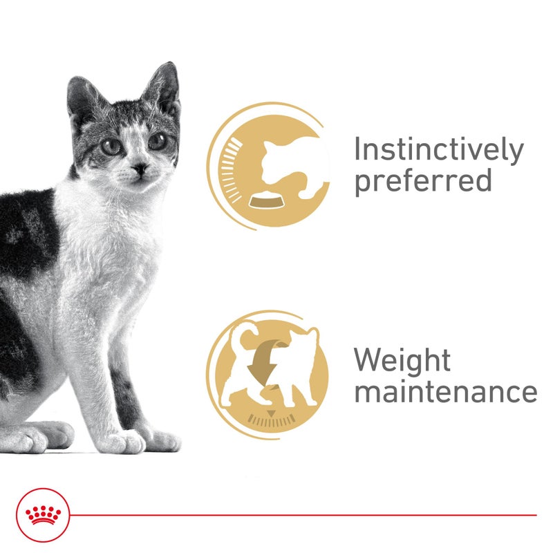 Royal Canin Feline Health Nutrition Adult Instinctive Adult Thin Slices in Gravy Cat Food, 3 oz (Pack of 18) - Image 2